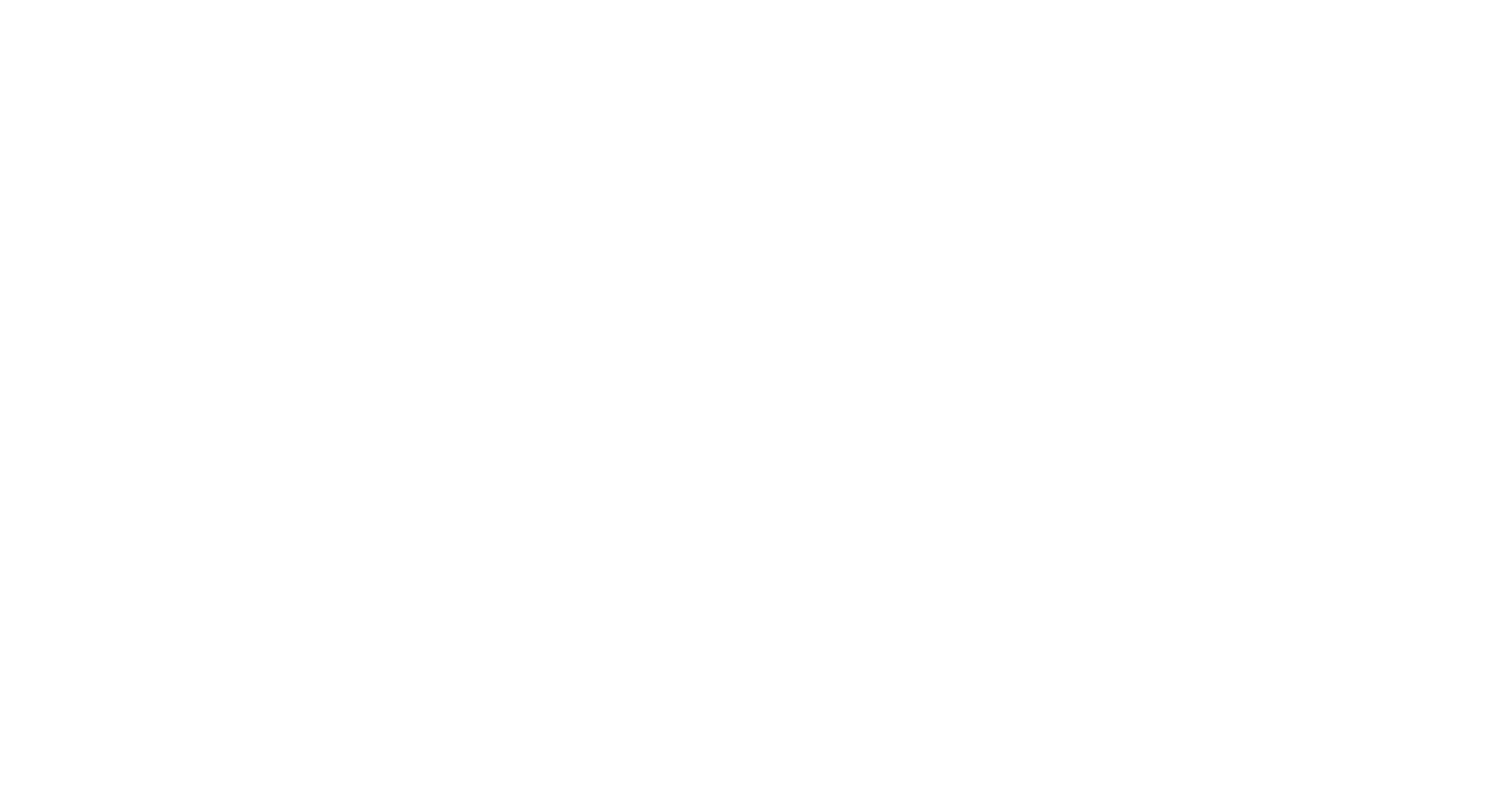 Duetto