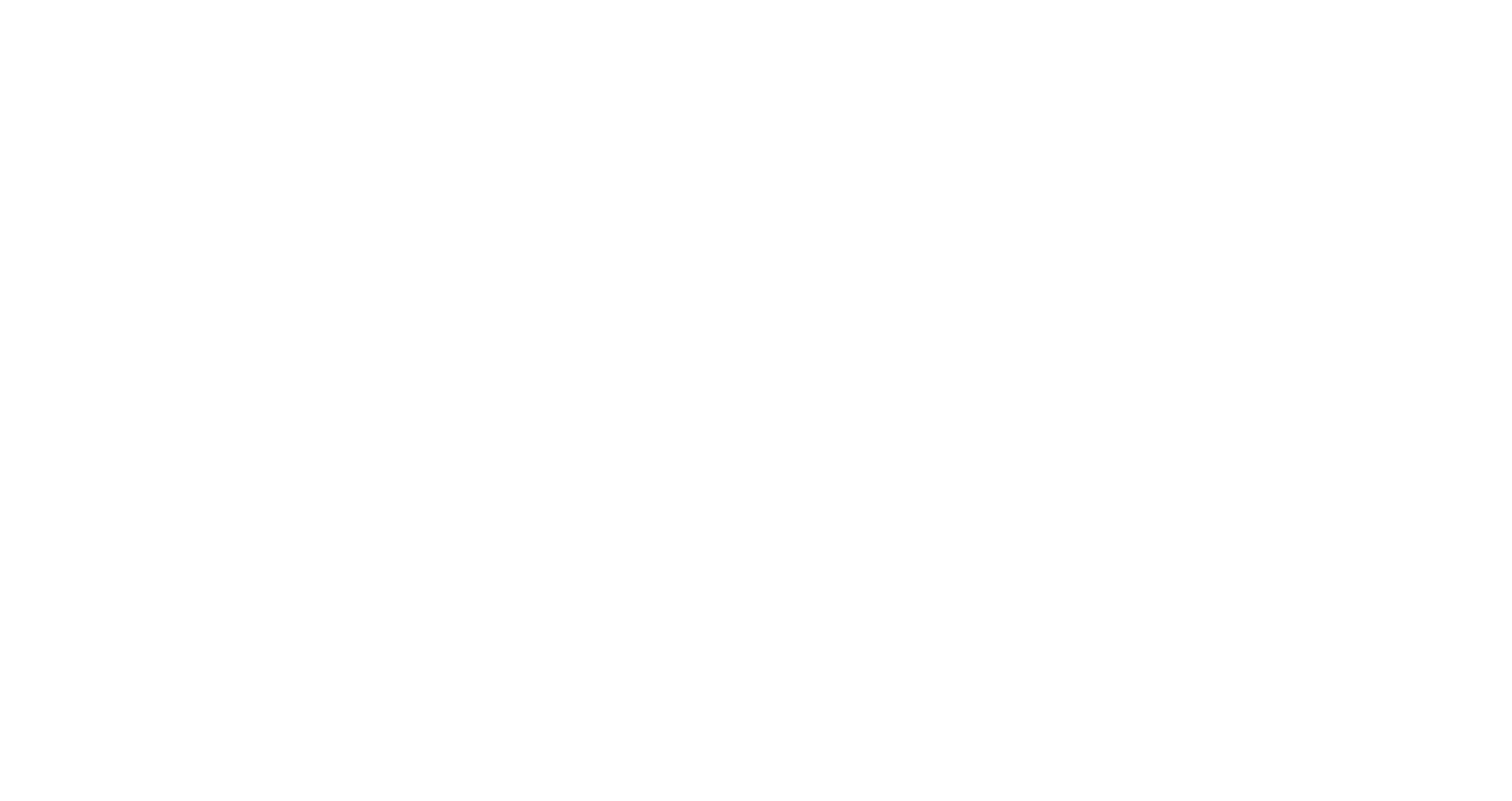 NVT Group