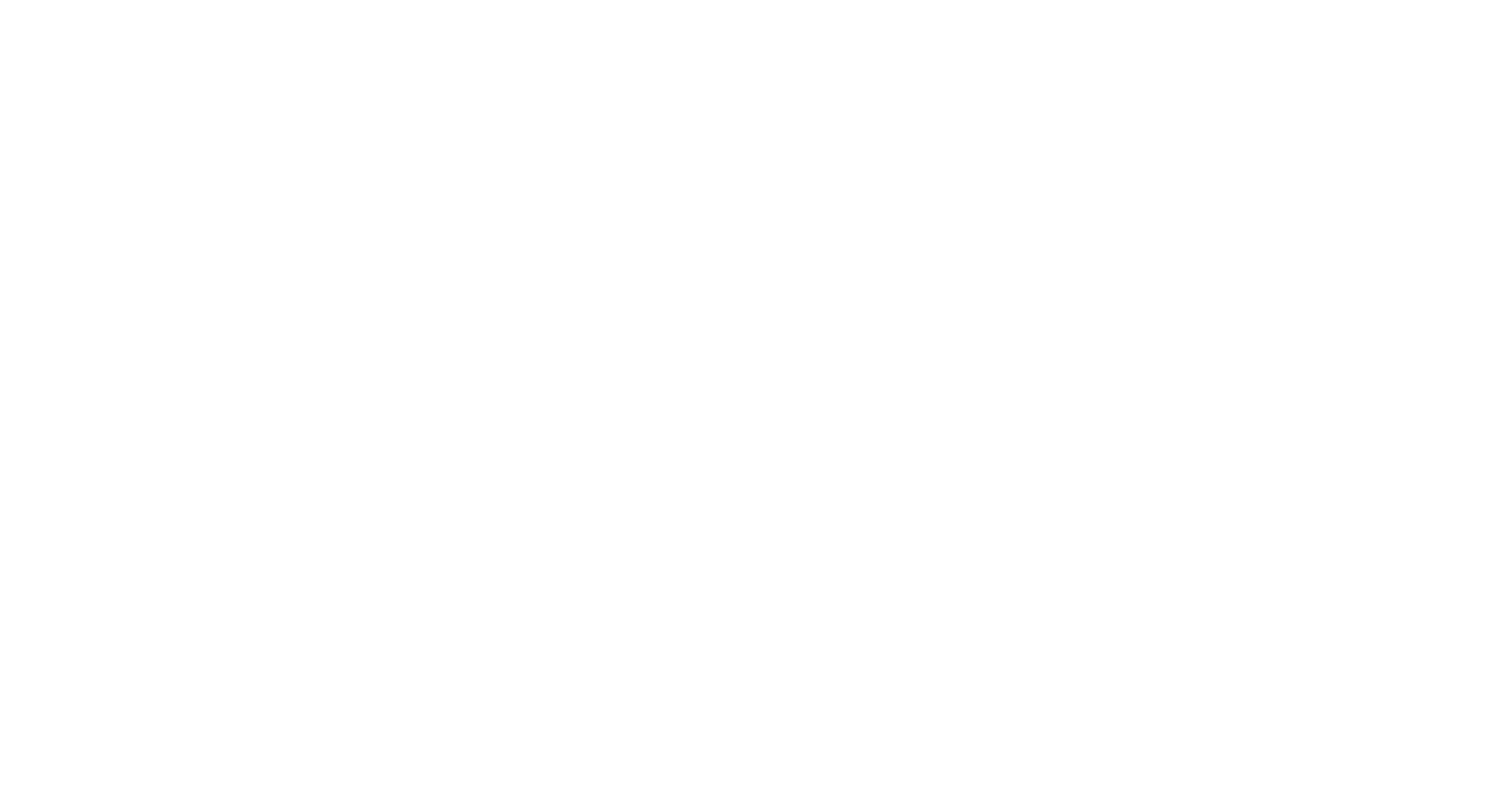 Rogue Wave Software