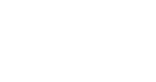 StoneEagle