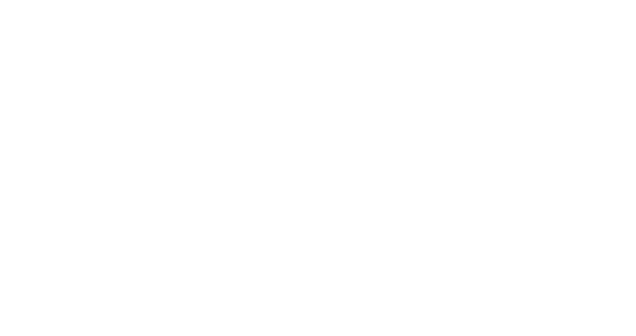 Xsight Labs