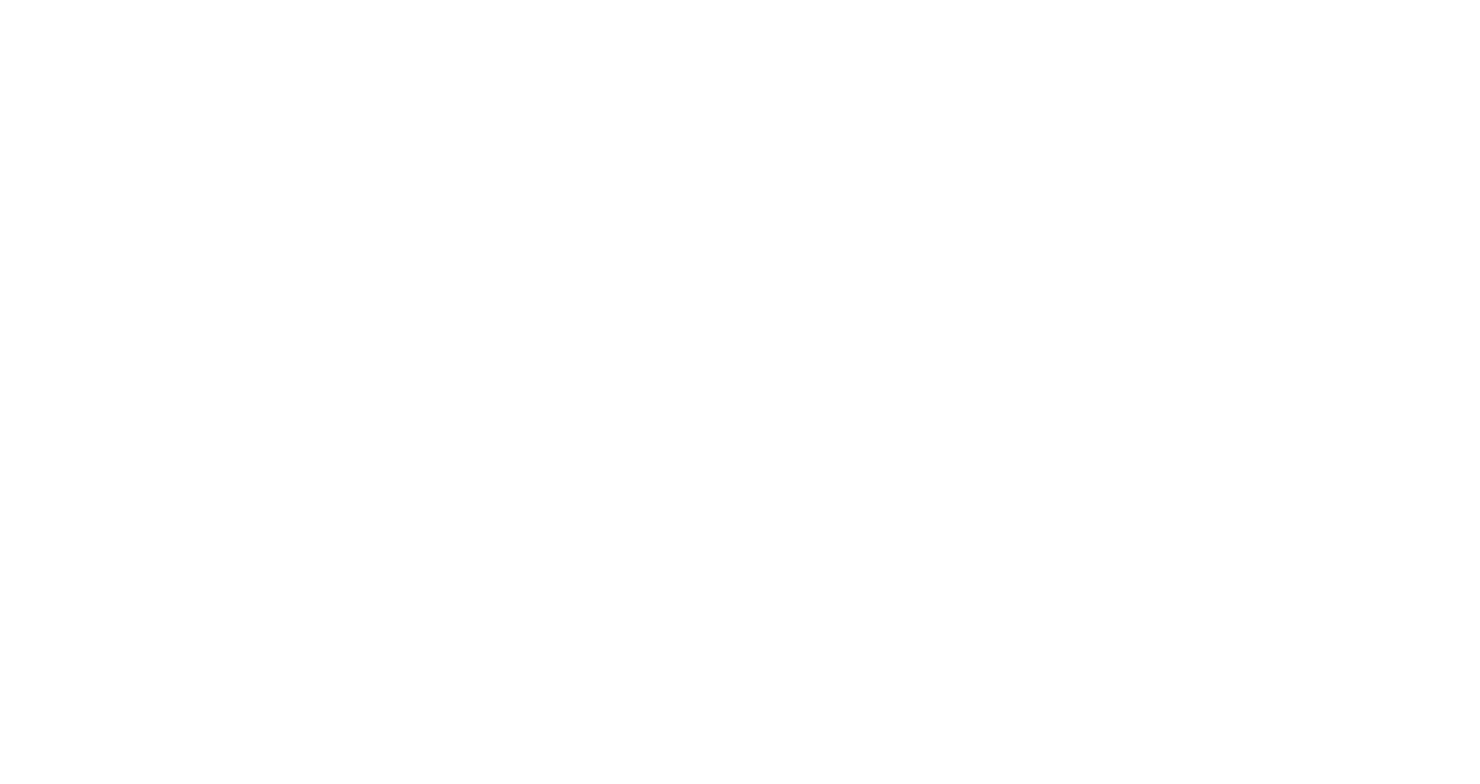 cVidya Networks