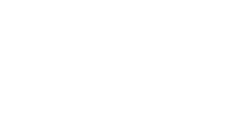 MRU Holdings