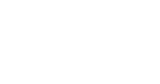 PrimeRevenue