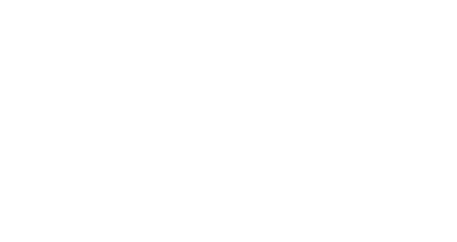 Normalyze