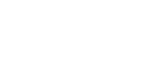 LEEO