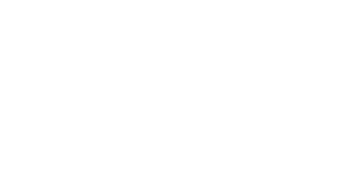 Mobius Institute