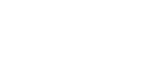 SambaNova