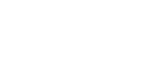Blitzy