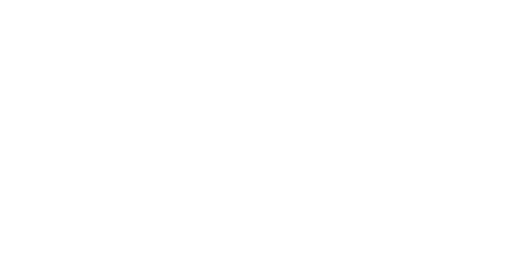Aegis AI